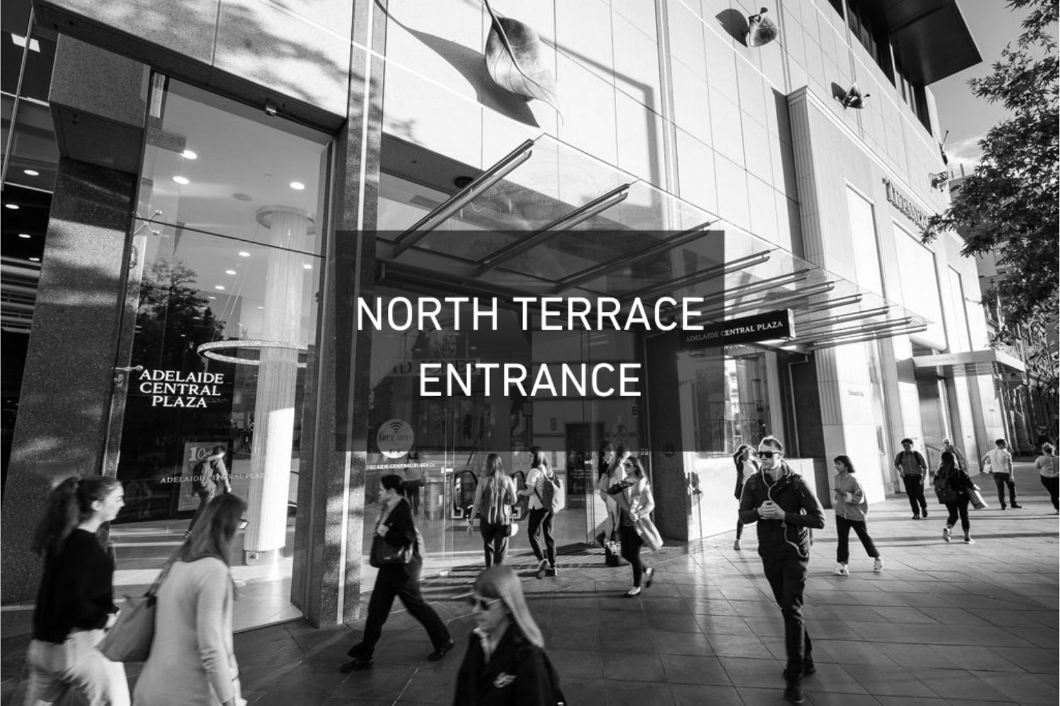 North Terrace Entrance