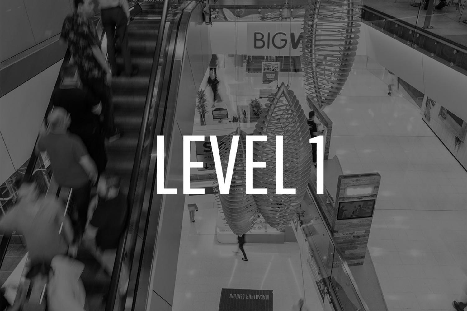 Level 1